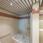 Vayamundo -